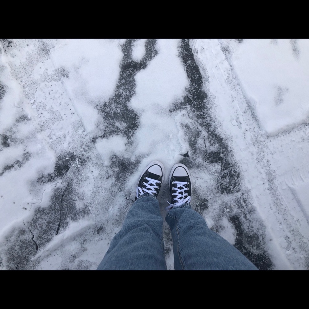 Meet your Posher, Penelope